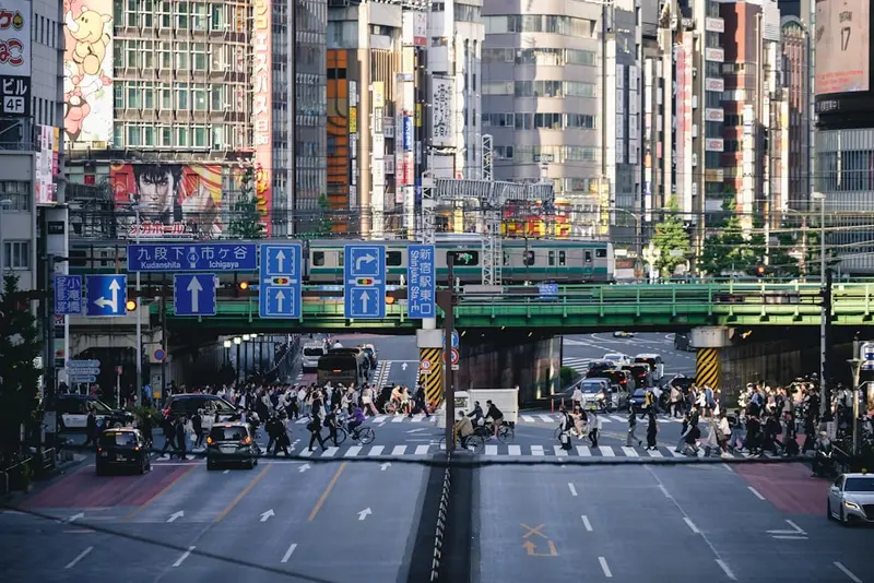 Susanna.Tokyo Premium Domain